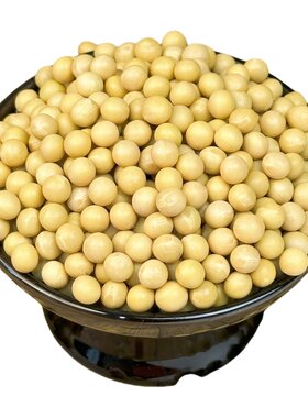 打豆浆黄豆海伦大豆生发豆芽黄豆
