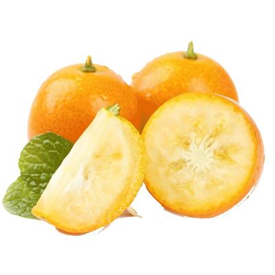 礼盒2025新果【正宗融安金桔】