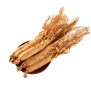 250克长白山人参生晒参白参园参干人参礼盒整支吉林东北特产