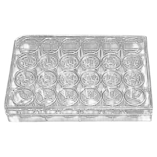 LABSELECT 14312 细胞培养小室 含24孔板(PET膜6.5mm孔径0.4μm)