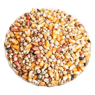 再再鸽粮鸟食鸽子饲料玉米粒豌豆营养饲料鸟食信鸽赛鸽10斤装包邮