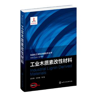 先进化工材料关键技术丛书 工业木质素改性材料 木质素 功能材料 改性材料 化学改性 生物质利用 材料科学与工程专业人员应用书籍