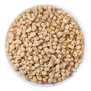 优质 大豆黄卷 大豆卷 大黄豆卷 精选黄豆卷正品中药材500克包邮