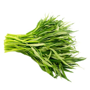 东升农场 供港通心菜通菜空心菜 蕹菜蔬菜新鲜300g