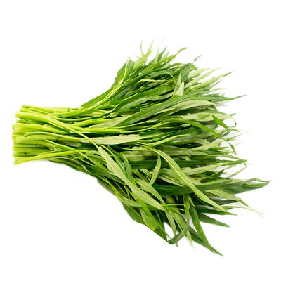 东升农场通心菜新鲜通广州空心菜