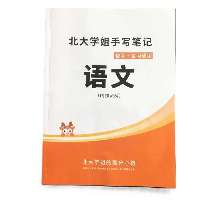 高中语文提分笔记本新高考复习资料高中教辅北大学姐手写学霸笔记