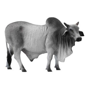 【88579婆罗门公牛】CollectA我你他官方授权正版动物模型早教