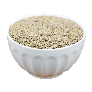 油麦菜子中药材静萱正品油麦菜籽莜麦菜种子苦菜子非野生菜籽粉