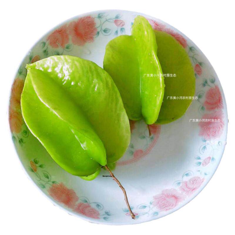 新鲜酸杨桃特酸水果酸伍敛 药食全酸杨桃 孕妇开胃水果 野生酸果