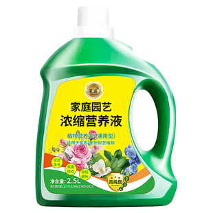 水培植物营养液绿植花卉盆栽碗莲铜钱草绿萝发财树通用养花用肥料