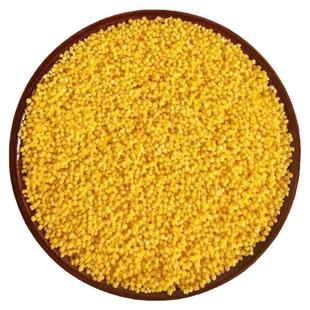 黄金苗K1新鲜小黄米新米五斤装农家食用黄小米坐月子米小颗粒新米