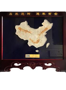 辽西狼鳍鱼化石群鱼地图化石标本乔迁送礼仿古风摆件收藏礼盒