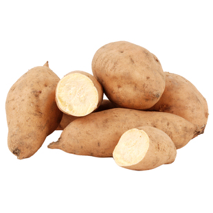 老品种北京553红薯卢龙红薯北京红地瓜2025鲜薯蜜薯黄皮黄瓤黄心