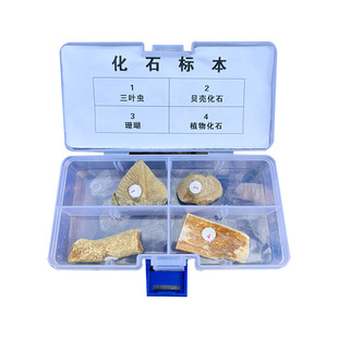 地质队工程师采4种化石标本科学器材科普物理教学仪器质保一年NEW