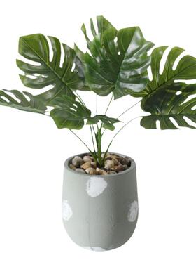 ins风北欧室内盆景网红仿真植物