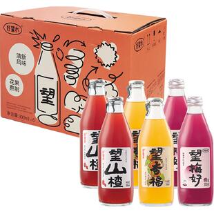 好望水果汁气泡水山楂梅好杏福综合口味果味饮料