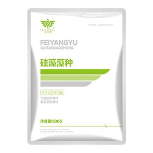 硅藻藻种水产养殖小球藻绿藻硅藻种源鱼虾蟹塘水产复合澡肥水培藻