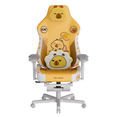 卡皮巴拉联名款 迪锐克斯电竞椅子舒服久坐游戏电脑椅DXRacer