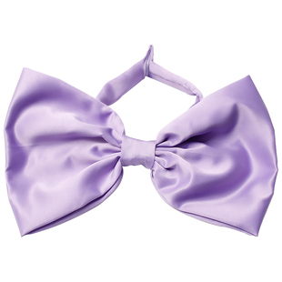 周也同款紫色超大蝴蝶结项链cos汤姆梦中情猫项圈颈链拍照配饰女