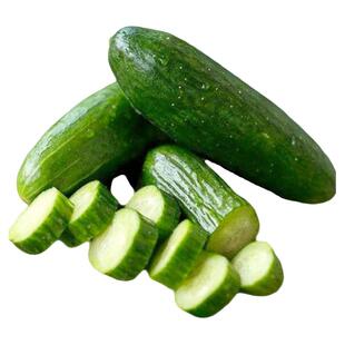 贝特阿尔法黄瓜种子全雌品种皮薄果味高产早熟传家宝春秋阳台盆栽