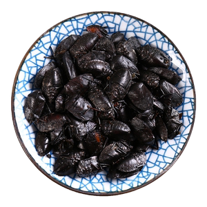 京皖九香虫中药饮片官方旗舰店