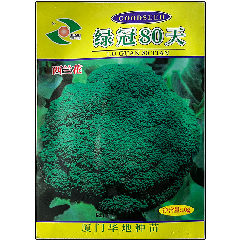 绿冠80天西兰花蔬菜种子孑籽杂交高产青绿花菜美国洋甘蓝花椰菜宝