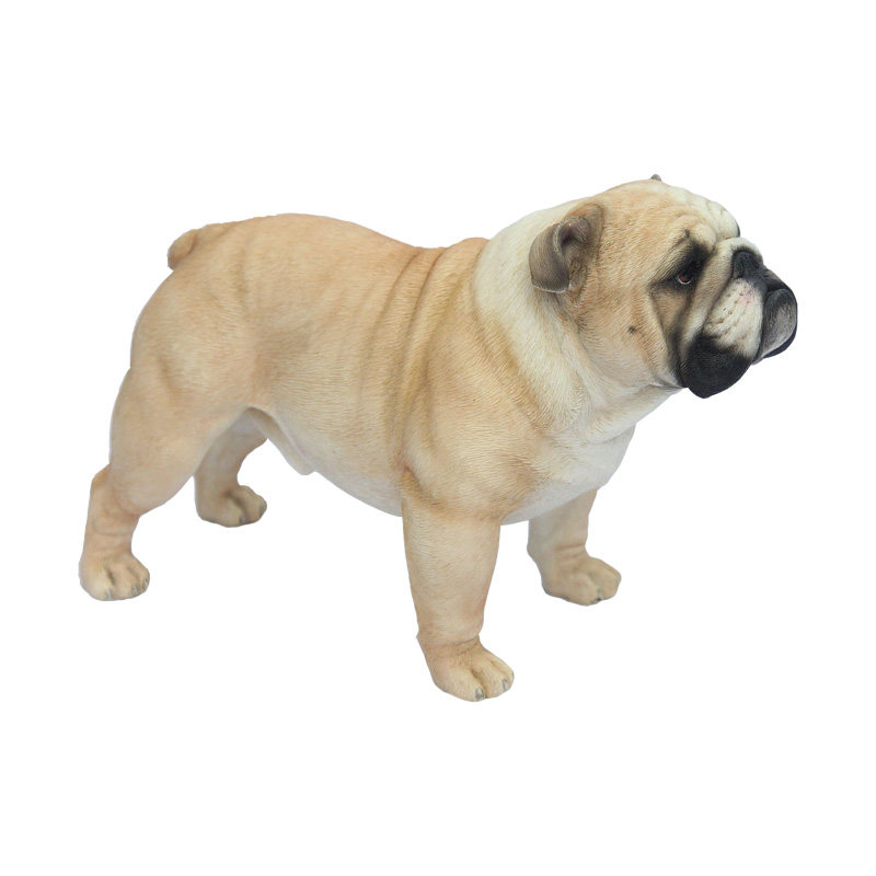 JXK 1/6英国斗牛犬模型 仿真狗动物摆件桌面萌宠潮玩周边手办