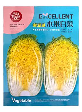 秋季播水果白菜黄心菜大黄芯甜脆
