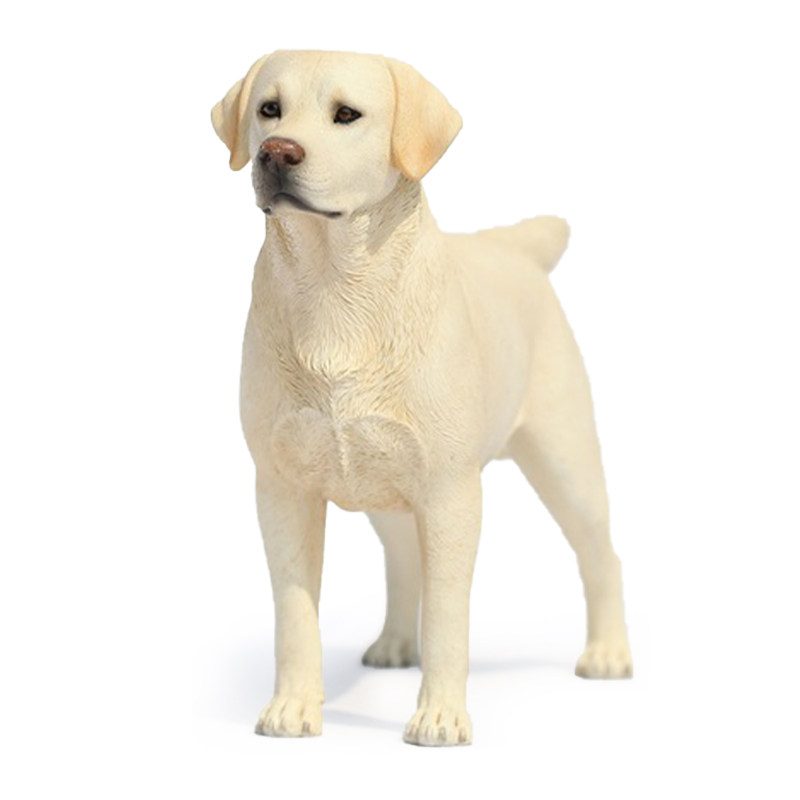 JXK 1/6拉布拉多犬模型 仿真萌宠兵人动物摆件宠物狗周边手办