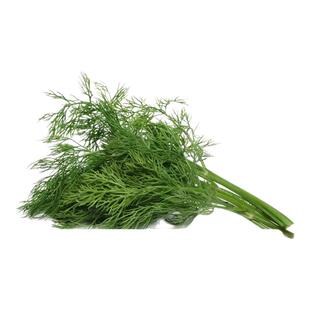 【老一生鲜】新鲜莳萝草 Dill刁草 土茴香 莳罗250g