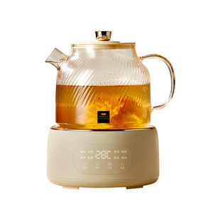 全玻璃养生壶小茶炉泡茶机小型煮茶器煮茶壶烧茶壶电热煮茶一体