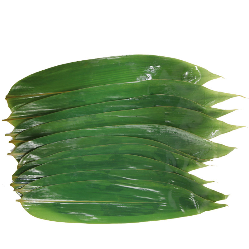 粽叶新鲜大号100片一包非干叶