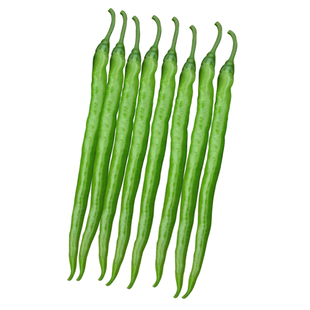 薄皮辣椒种子四川二荆条二金条辣椒种籽苗春季阳台蔬菜籽种孑大全