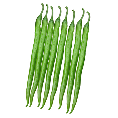 四川薄皮香辣二金条辣椒种子春秋