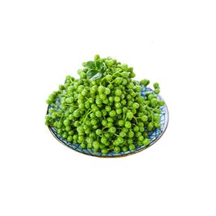 鲜藤椒青花椒重庆江津特产350g*2真空保鲜花椒生麻椒青藤椒冷链发
