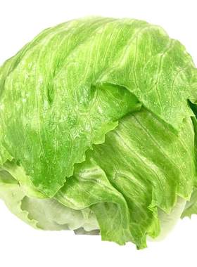 球生菜汉堡沙拉三明治用新鲜蔬菜