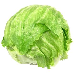 【绿食者】球生菜500g 西餐汉堡火锅用沙拉新鲜蔬菜食材圆西生菜