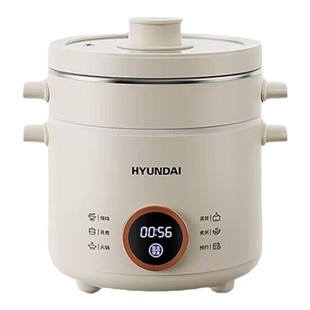 电煮锅多功能蒸煮炖一体锅迷你电饭煲1-2-3人小型宿舍火锅可预约