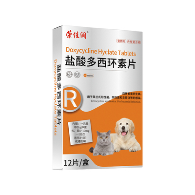 【顺丰】宠物猫鼻支犬窝咳肺炎
