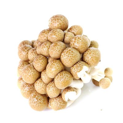 食用菌蟹味菇真姬菇火锅炒菜