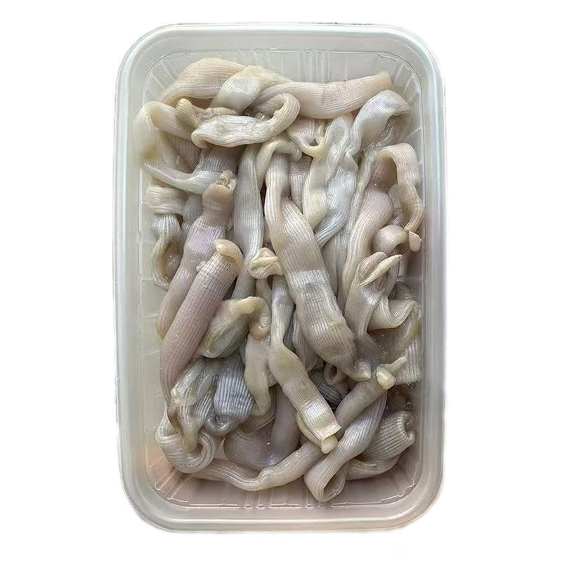 东山岛新鲜活沙虫现杀厚肉沙蚕250g光祼星虫方格星虫帮去内脏去沙