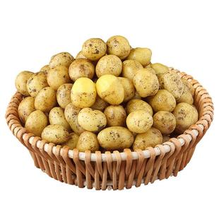 恩施小土豆现挖新鲜黄心土豆当季蔬菜整箱迷你马铃薯富硒洋芋包邮