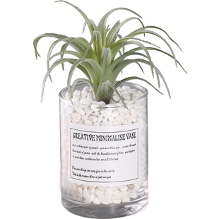 ins风北欧仿真植物多肉仙人掌盆栽办公室桌面假花摆设绿植小摆件