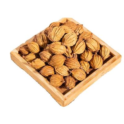 川砂仁香料商用500g干货香砂仁果