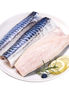 我爱渔青花鱼肉质紧实鲜而不腥