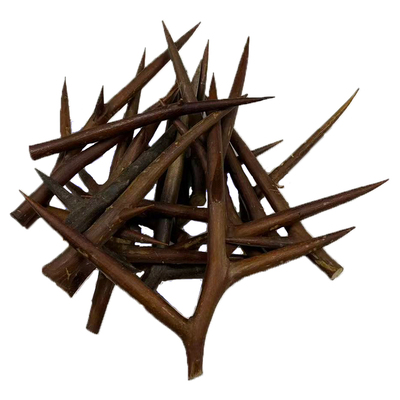 新鲜食用农产品皂角刺秦岭新货