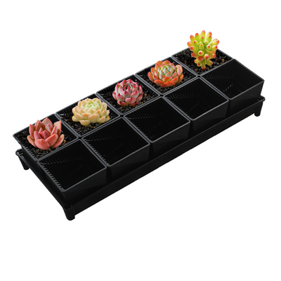 美莳多肉专用控根花盆塑料长条型