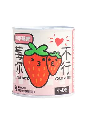 神奇植物室内四季趣味种植