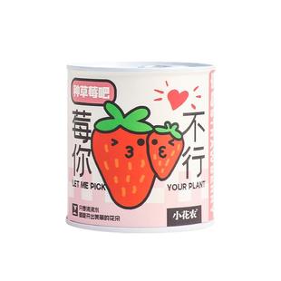 办公室绿植小盆栽神奇植物室内迷你桌面儿童种植罐头情绪稳定盲盒