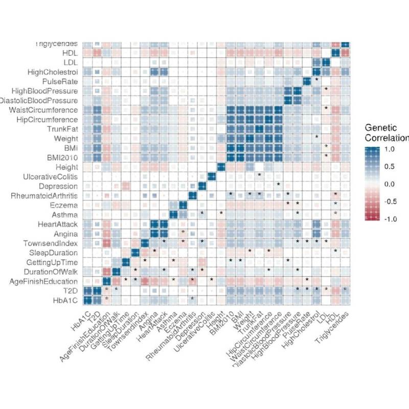孟德尔随机化代做一区共病思路定制遗传相关GWAS分析流行病统计